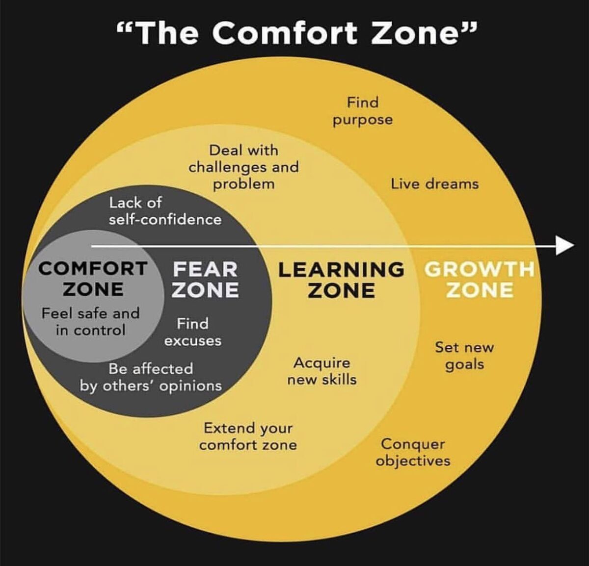 The Comfort Zone