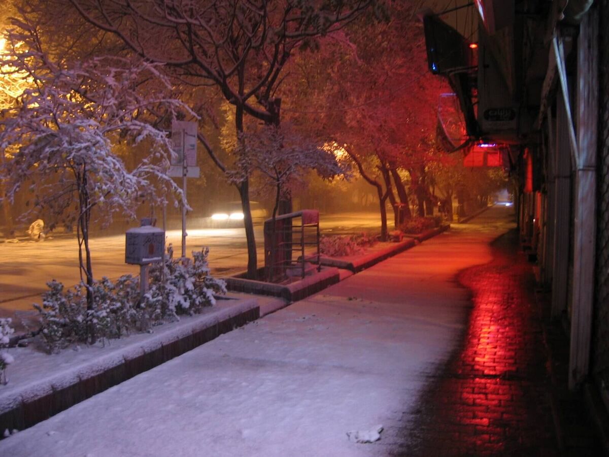 Shahnaz, Winter 2007. Photo by Aydin Vaziri