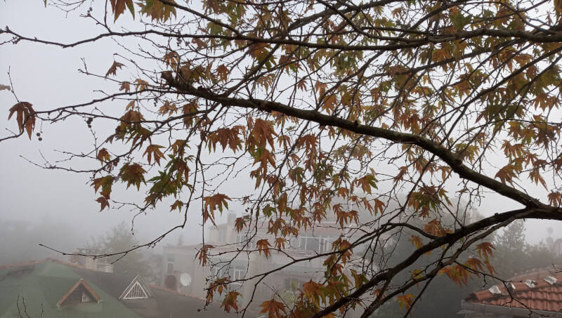 Foggy Istanbul from my apartment window